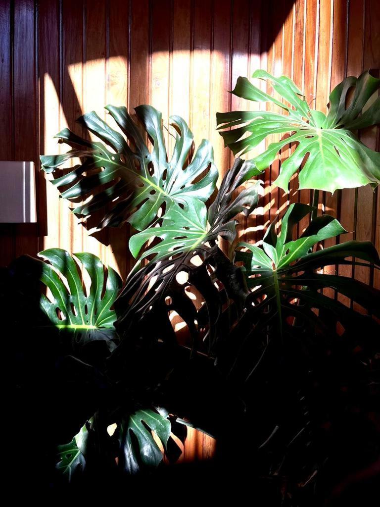 Residencial Moderna Hostel